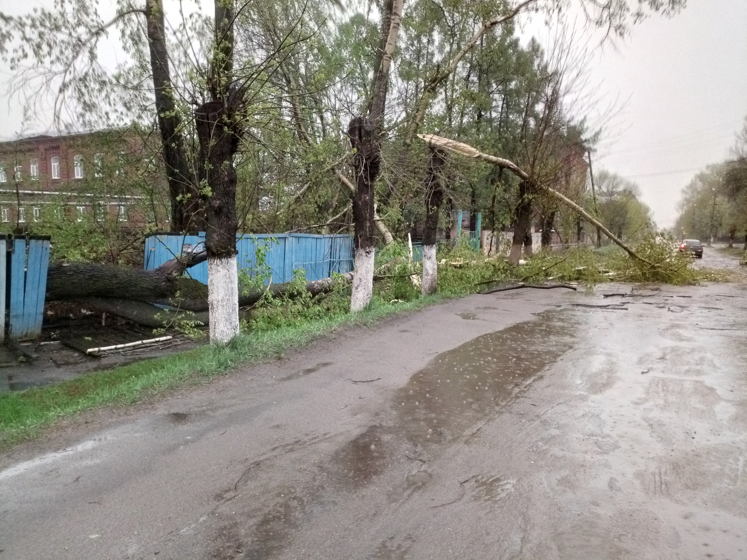 Ураган оставил Юрьевец без света, воды и еды