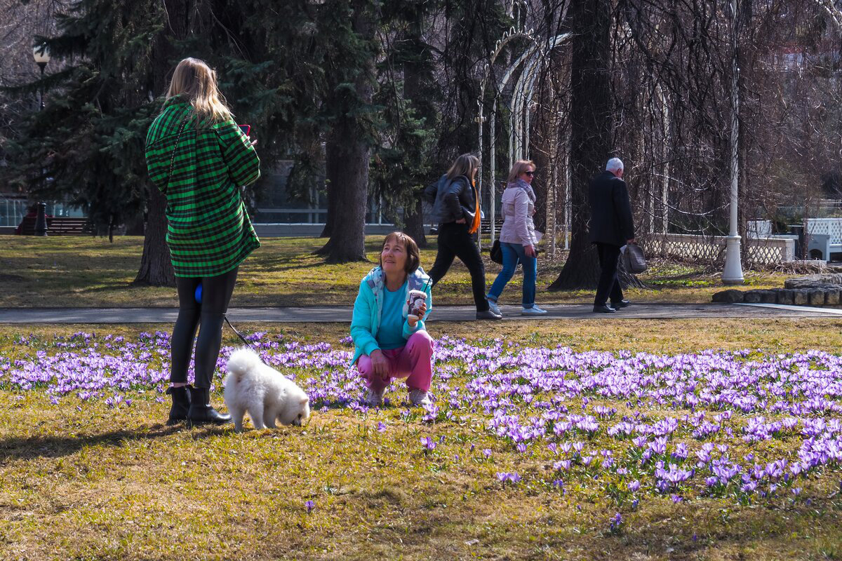 Какой сейчас ходит. Фото из Москвы апрель. Теплая погода фото. Когда будет в апреле теплая погода примерно. В чем сейчас ходят в Москве в такую погоду фото 2021 года.