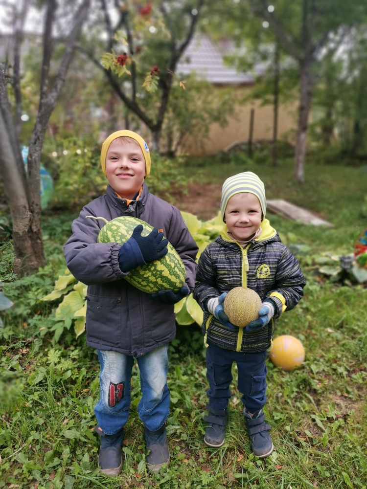"Огородники мы всего три года. Два внука по возможности стараются помогать. На территории в основном классика огородная:яблони, груша и кусты смородины, крыжовника. И вот мальчики мне говорят :"Бабушка! А почему ты не выращиваешь арбузы и дыни?" И правда, почему? Я полезла в интернет изучать вопрос и поняла, что всё возможно даже у нас в Ивановской области. Купила семяна, высадила рассаду. Внуки поливали и радовались каждой маленькой дыньке или арбузику. По приезду в первую очередь бегали посмотреть и проверить. И вот наш урожай!" - поделилась радостью Светлана Егорова.