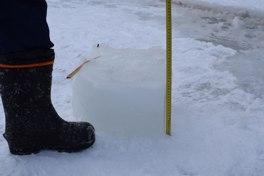 Спорт 1905 года