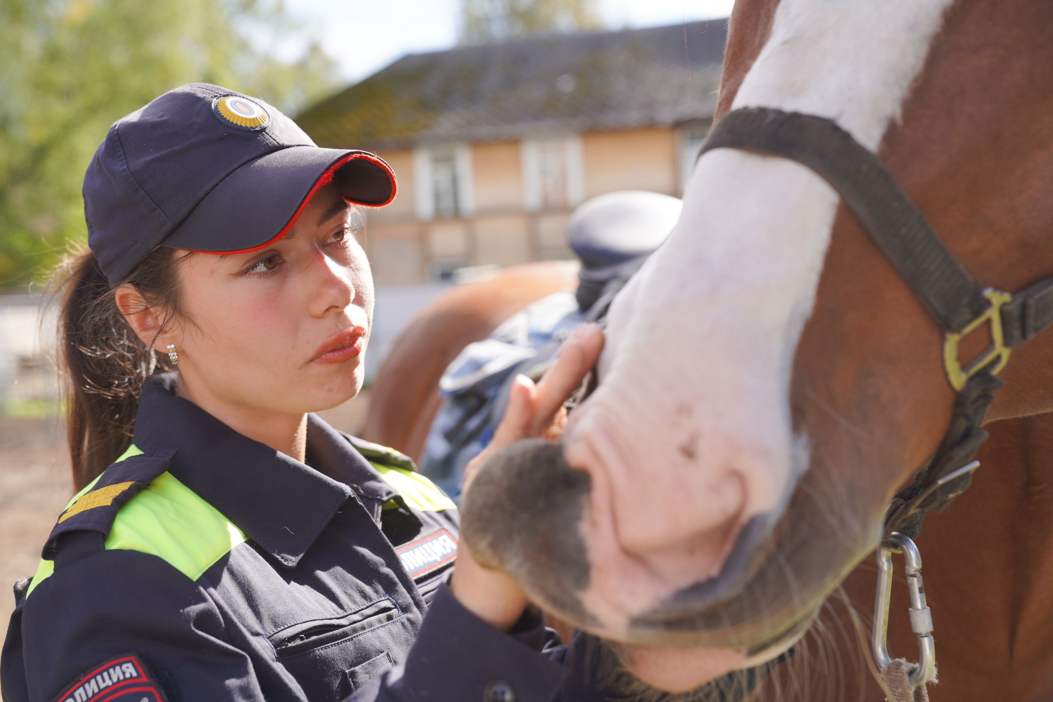 Одним из подразделений ППС города Иваново является конная полиция. Ее основная задача - патрулирование лесопарковых зон, где сложно подъехать на машине, футбольные матчи, массовые мероприятия.