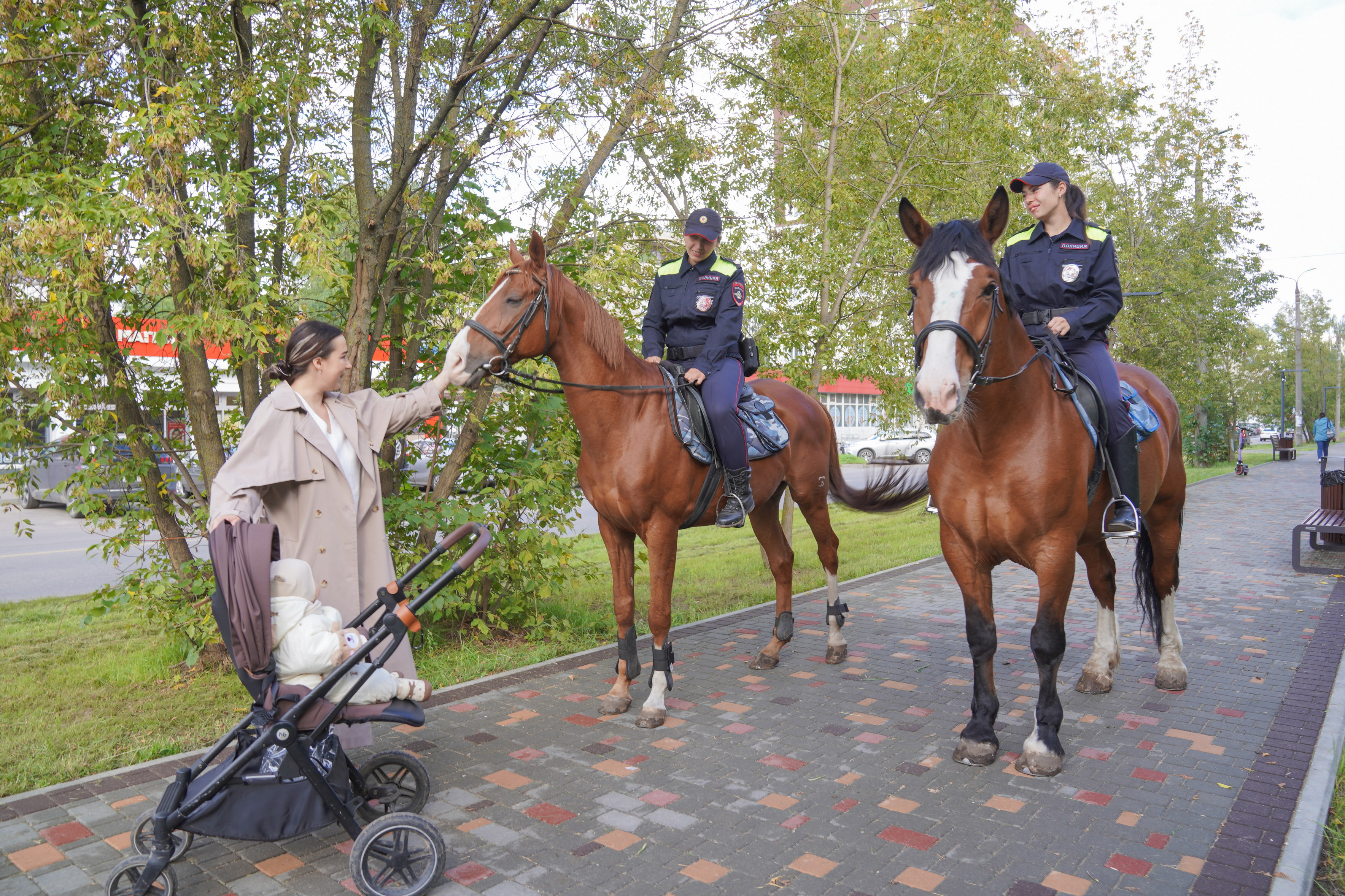 У каждой служебной лошади свой характер, но все они должны быть психически и эмоционально устойчивы, чтобы не бояться громких звуков, толпы, машин.  