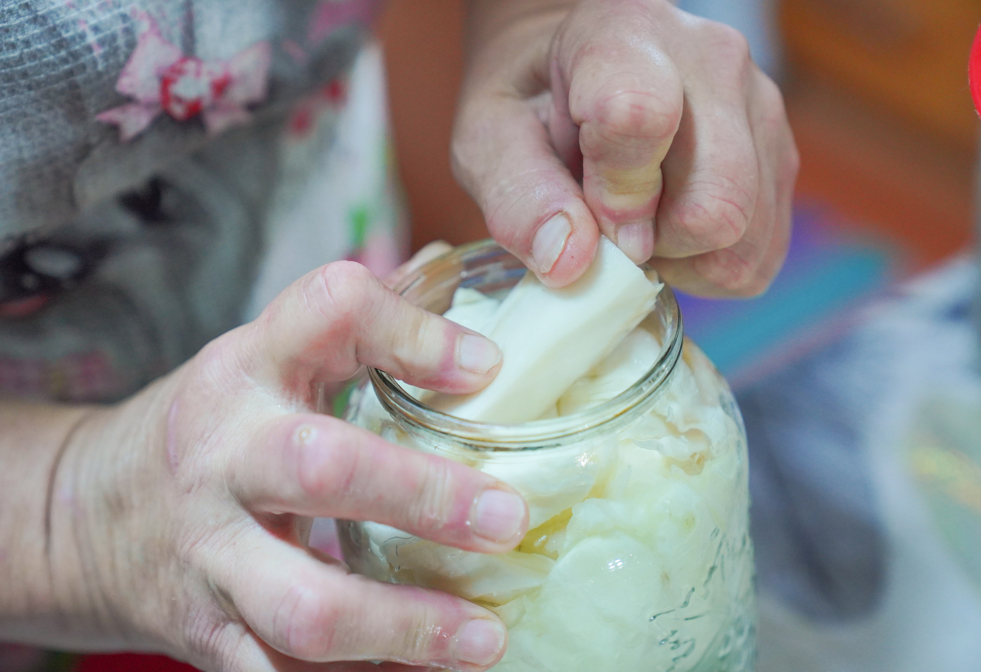 Чтобы вся капуста была в рассоле, сверху её прижимают кочерыжкой.